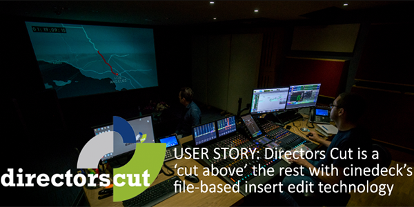 Read more about the article Director’s Cut