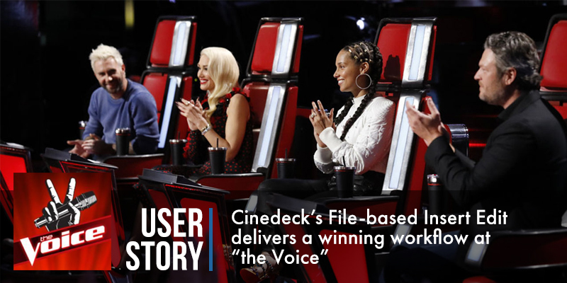 Read more about the article The Voice